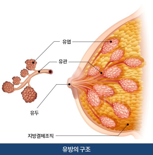 값진 경험
