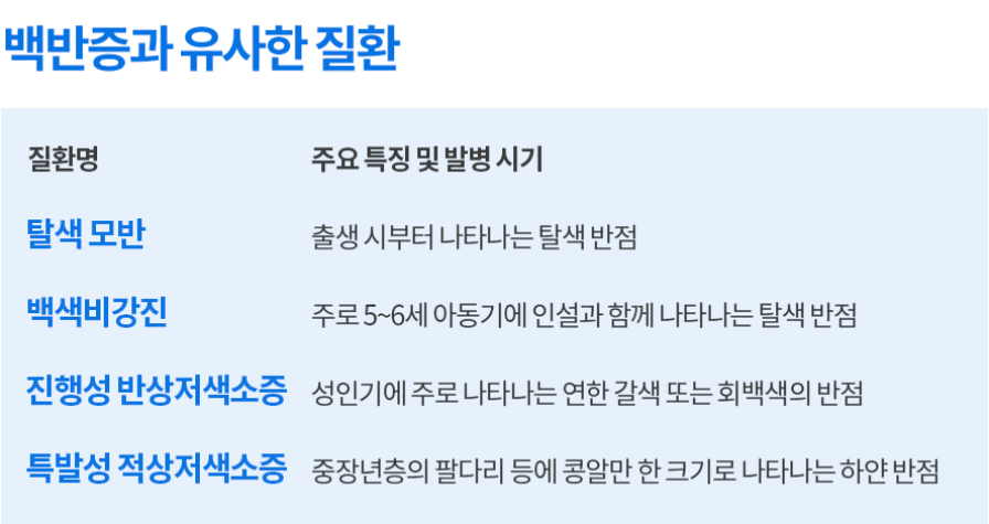 매력적인 사진
