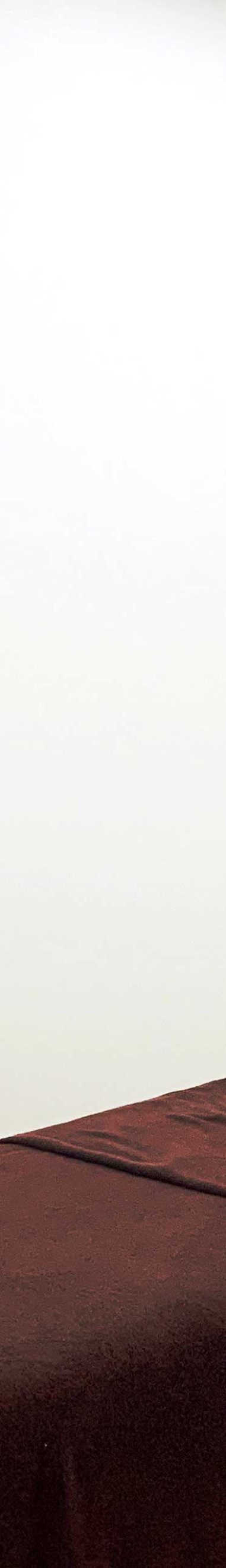 Impressive appearance