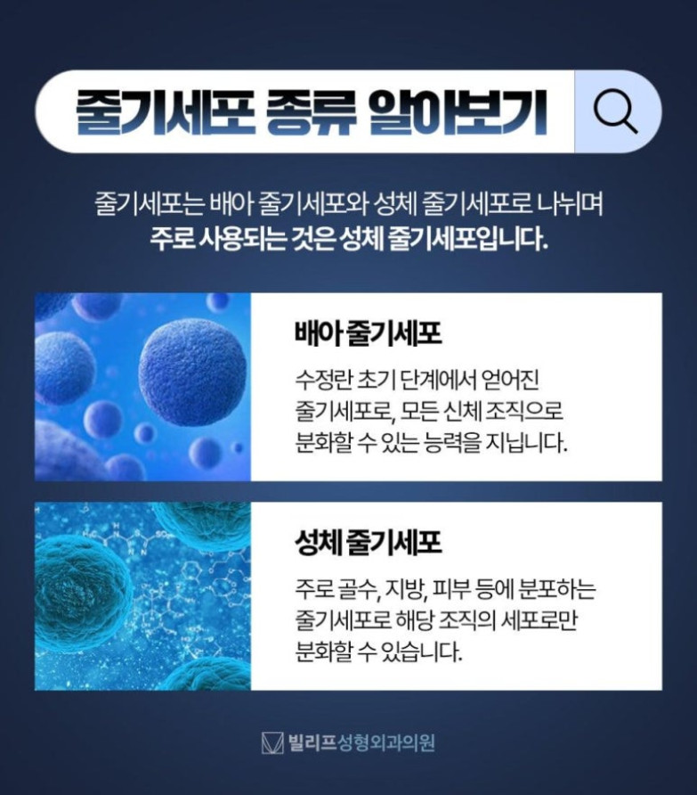 평화로운 풍경