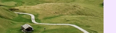 흥미로운 이미지