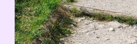 흥미로운 이미지